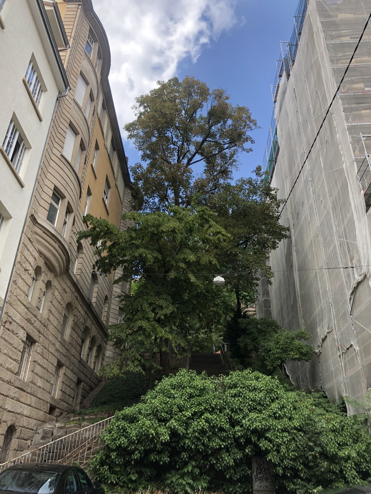 IMG_5002.jpeg