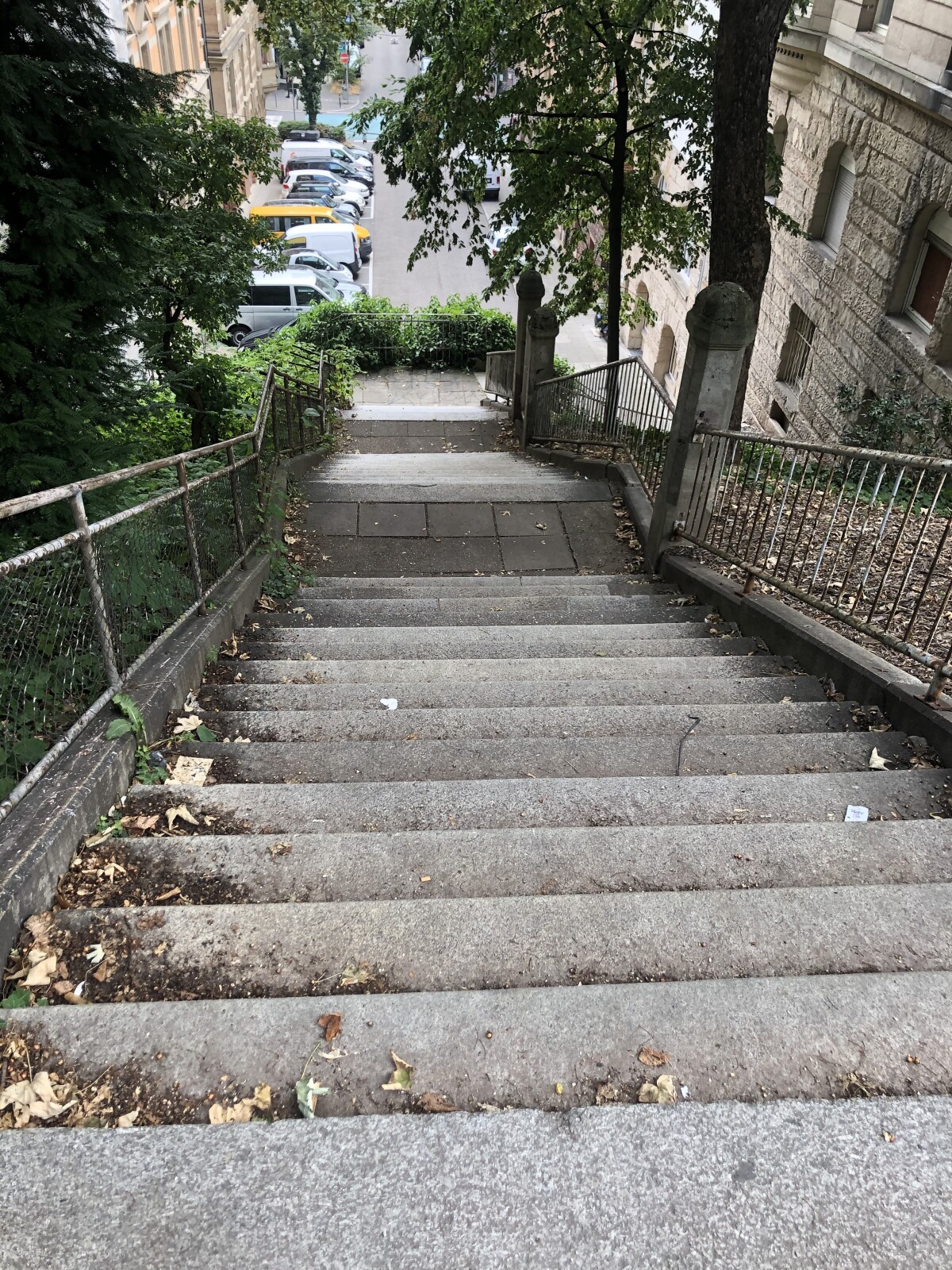 IMG_5003.jpeg