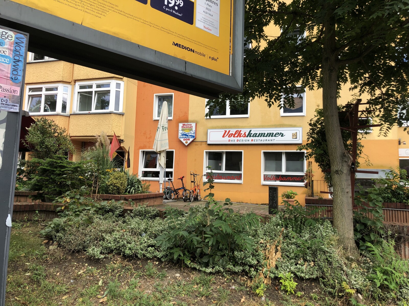 IMG_5955.jpeg
