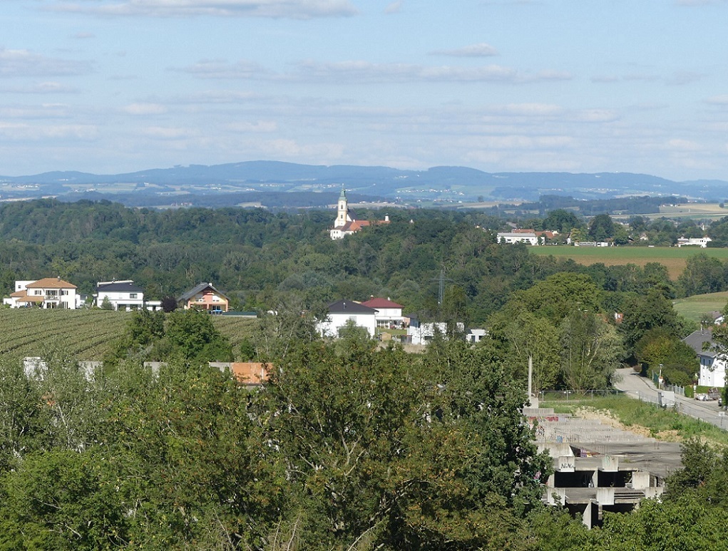 p10206542tmivy.jpg